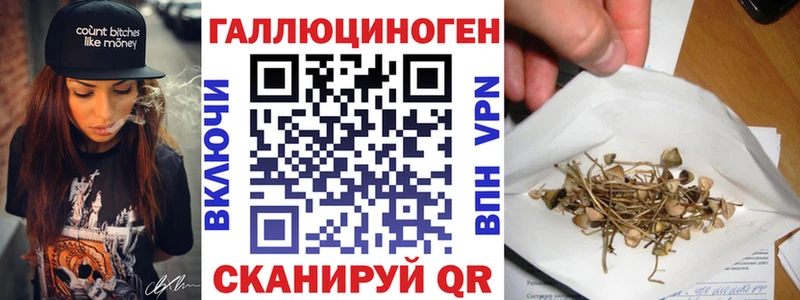 omg ONION  Южа  Псилоцибиновые грибы Psilocybine cubensis 